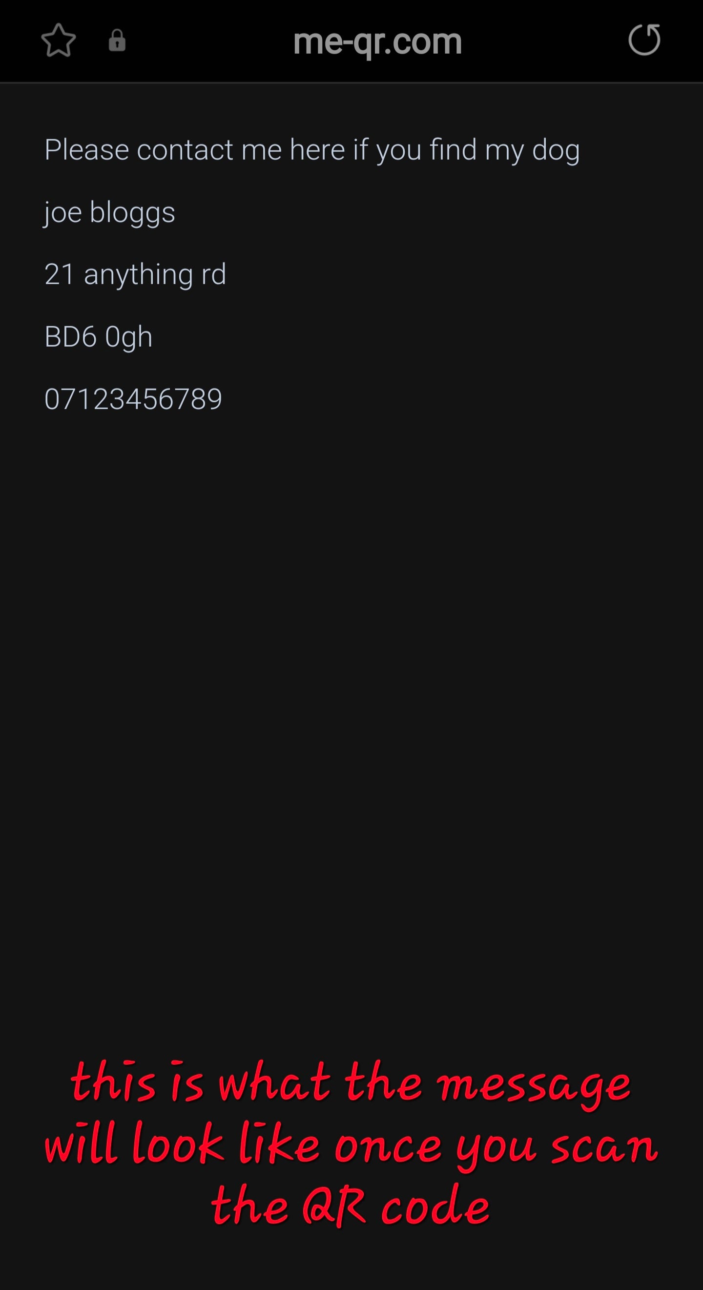 Find my Way Home QR Dog Keyring