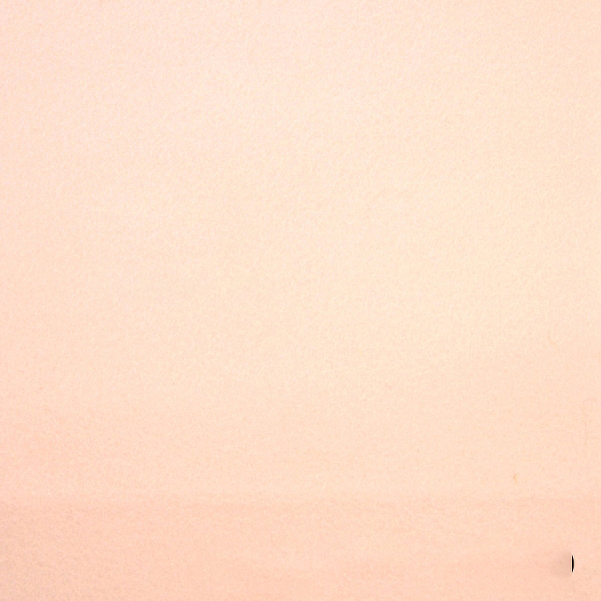 100% Wool Felt - 69 Dolly