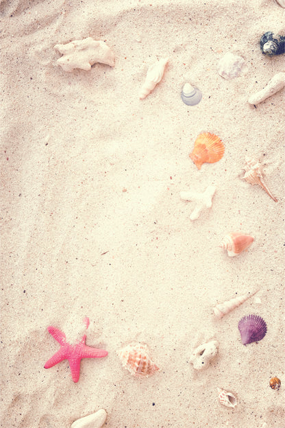 Sandy Shells Photography Backdrop