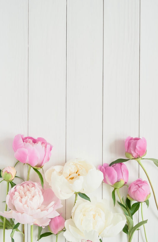 Floral on Ivory Wooden Backdrop