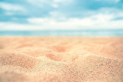 Seaside Photography Backdrop