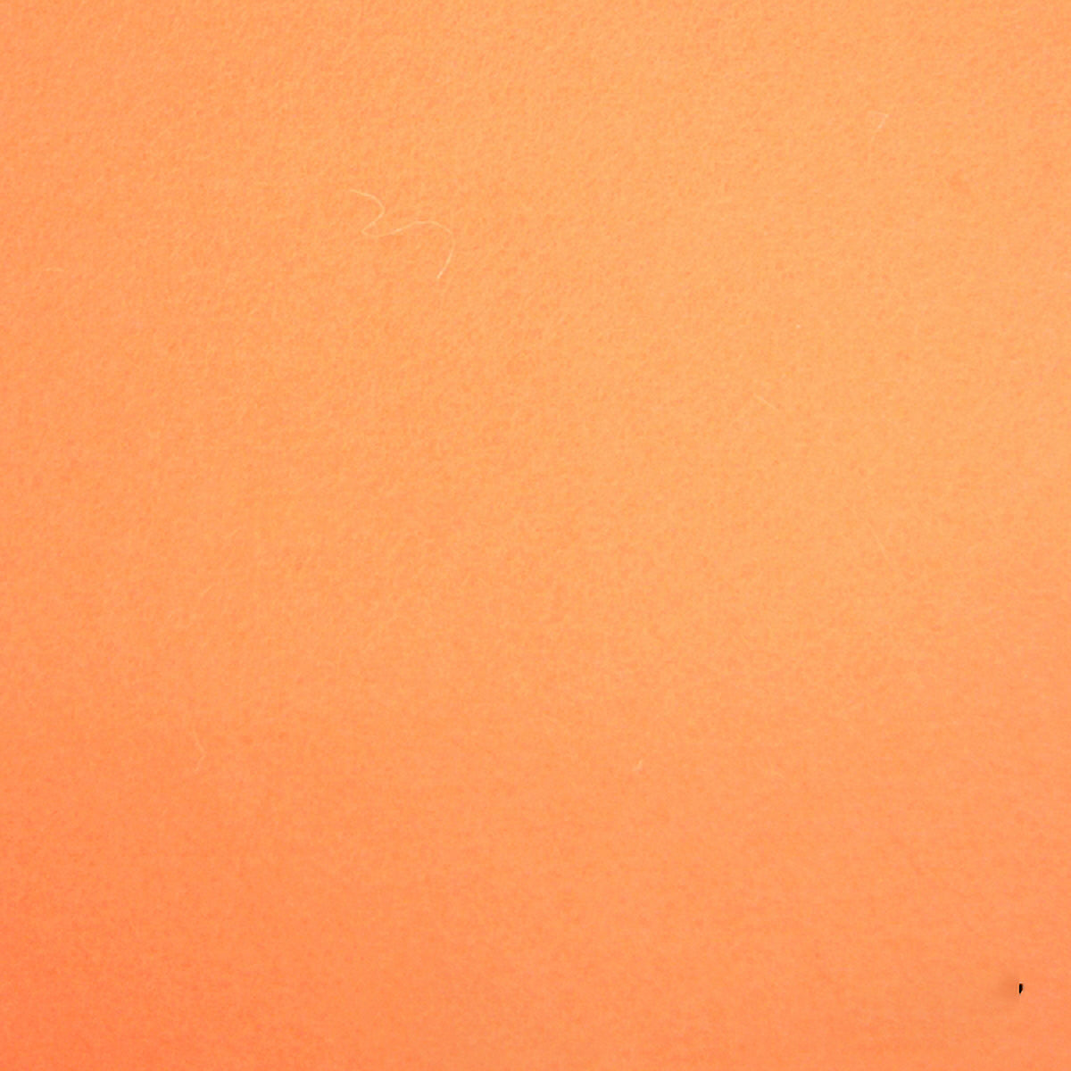 100% Wool Felt - 17 Apricot